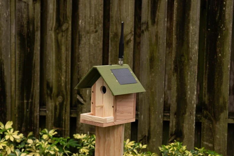 PeakMesh Birdhouse solar radio mounted on a wooden birdhouse
